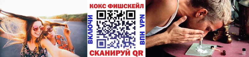 Cocaine FishScale  гидра онион  Сольвычегодск  где продают  