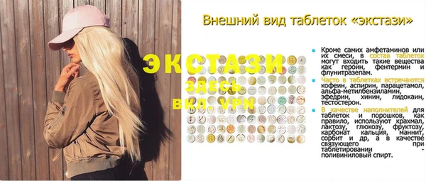 шишки Аркадак