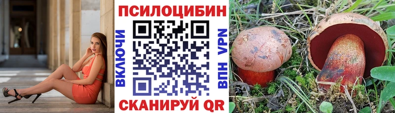 Псилоцибиновые грибы ЛСД  мега онион  Сольвычегодск  где продают наркотики 
